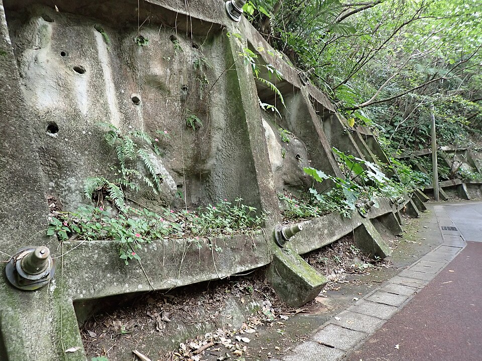 File:Escaped Impatiens walleriana in Nago, Okinawa.jpg